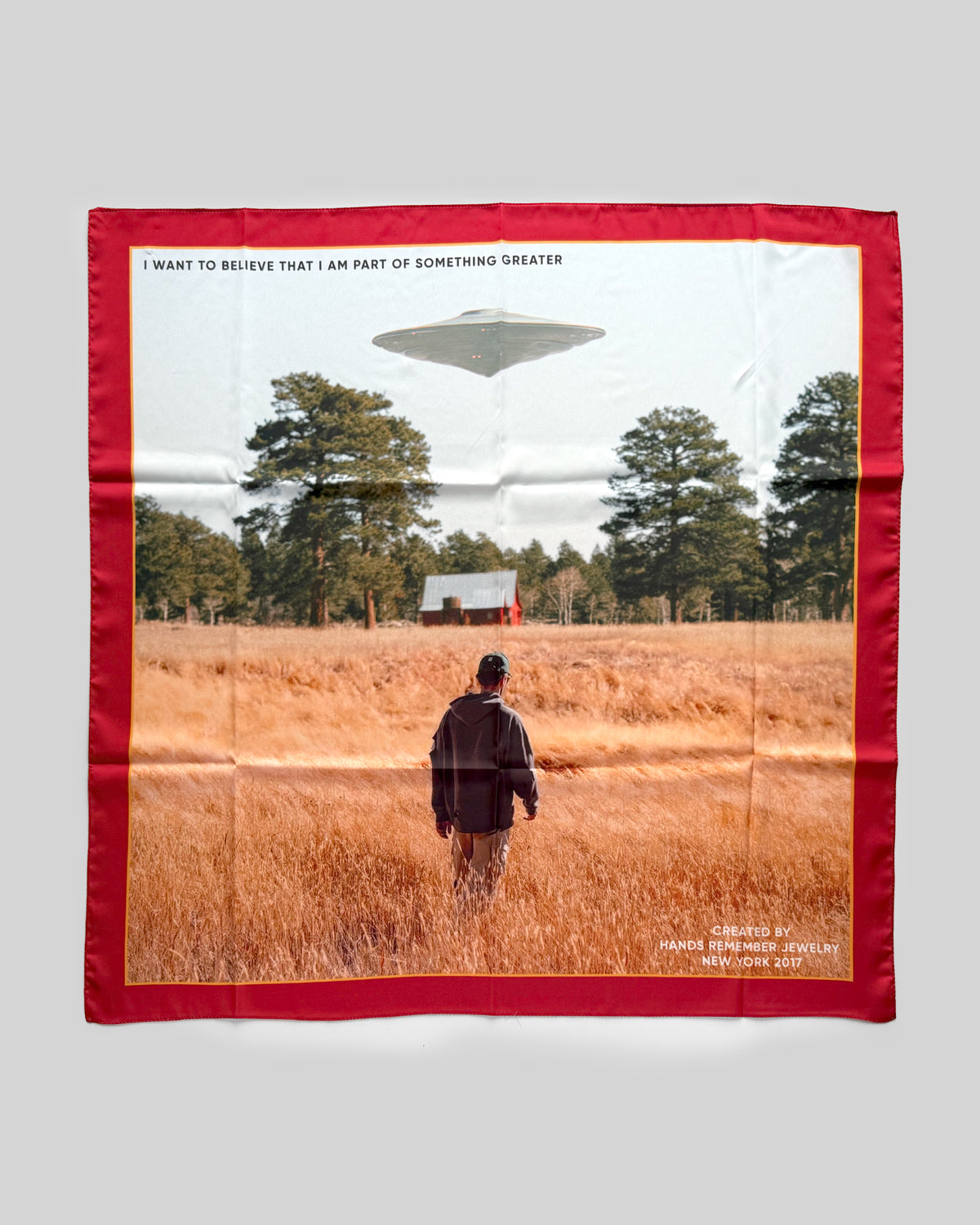 Person standing in a field with a UFO over them, framed by a red border.